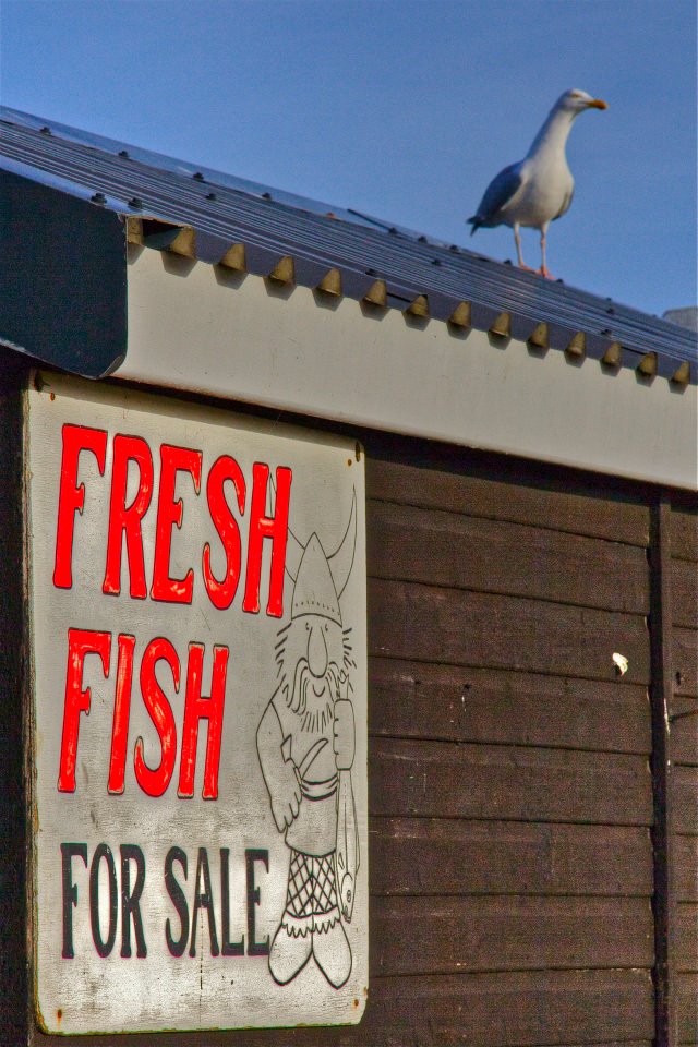 31.jpg - dove è possibile mangiare pesce fresco ovunque