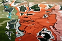 015_Burano_Riflesso_1