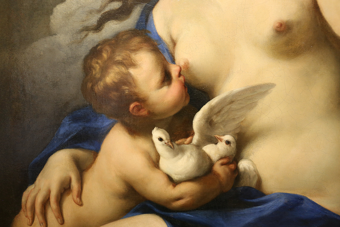 GalleriaSabauda_038.JPG - Carlo Cignani  Bologna, 1628-Forlì, 1719  Venere e Cupido (Particolare)
