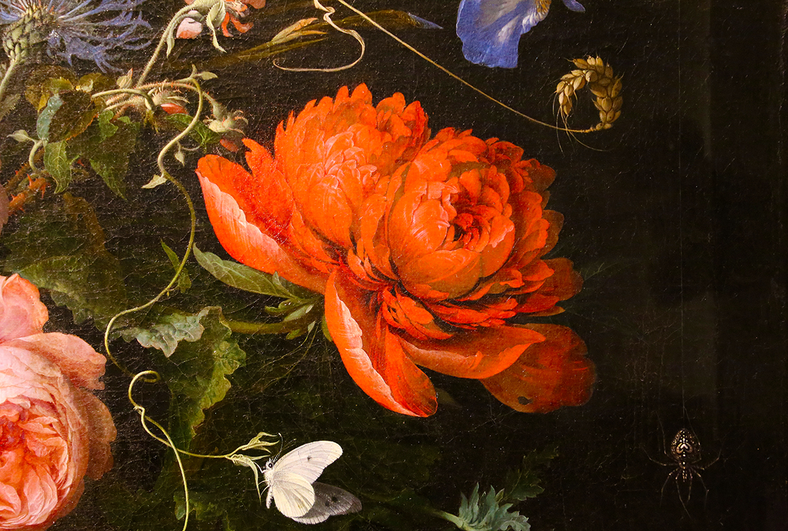 GalleriaSabauda_050.JPG - Abraham Mignon  Francoforte sul Meno, 1640 - Utrecht, 1679  Natura morta con fiori (Particolare)