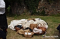 VBS_7229