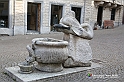 VBS_6941