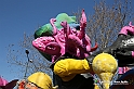 VBS_5545