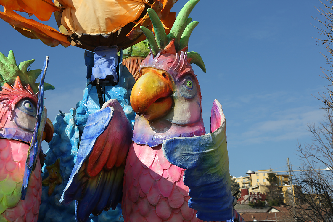 CarnevaleMondovì_136.jpg