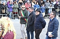 CarnevaleMondovì_194