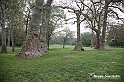 VBS_0736