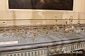 VBS_0753