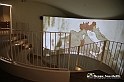 VBS_0905