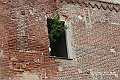 VBS_8259