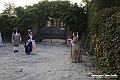 VBS_9887