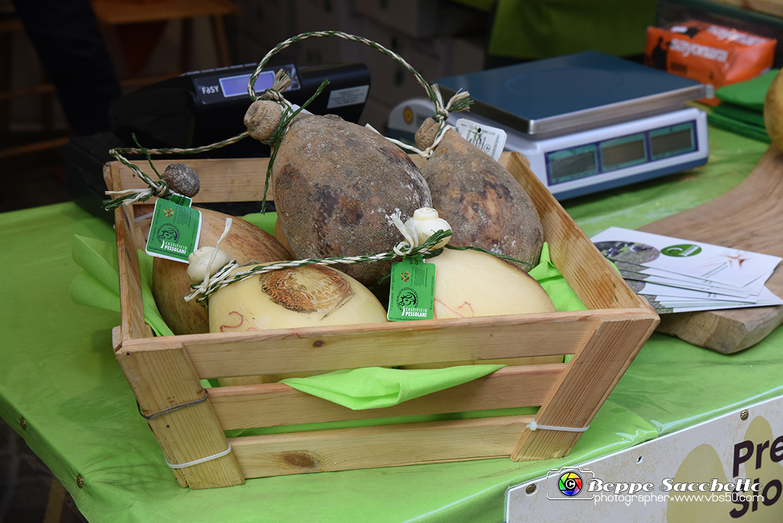 VBS_8494.jpg
