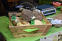 VBS_8494