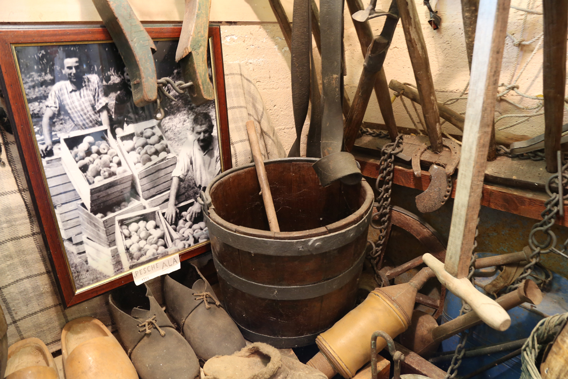 MuseoMemoria_087.jpg - SIGILIN, SOCR, FOTO ED QUANDI CUIJVU I PESI ALA Secchiello, zoccoli e fotografia della raccolta pesche Ala