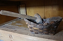 MuseoMemoria_012