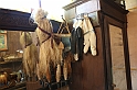 MuseoMemoria_038