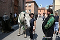 VBS_4985