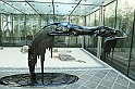 ViaDellaSeta_002