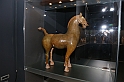 ViaDellaSeta_137