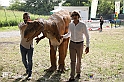 VBS_2933