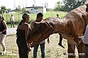 VBS_2936