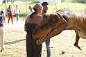 VBS_2937