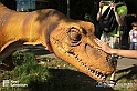 VBS_2946