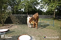 VBS_3030