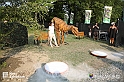 VBS_3031