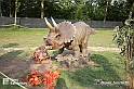 VBS_3035