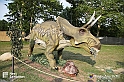 VBS_3037