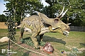 VBS_3038