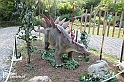 VBS_3046