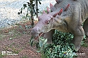 VBS_3052