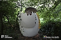 VBS_3087