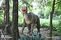 VBS_3091