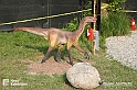 VBS_3117