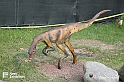VBS_3119