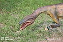 VBS_3122