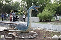 VBS_3126