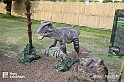 VBS_3134