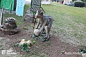 VBS_3137