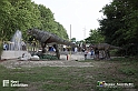 VBS_3146