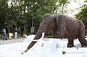 VBS_3156