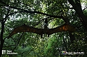 VBS_3165
