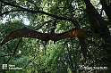 VBS_3166