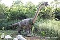 VBS_3171