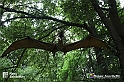 VBS_3187