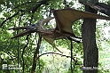 VBS_3224