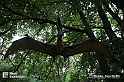 VBS_3225