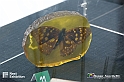 VBS_3252